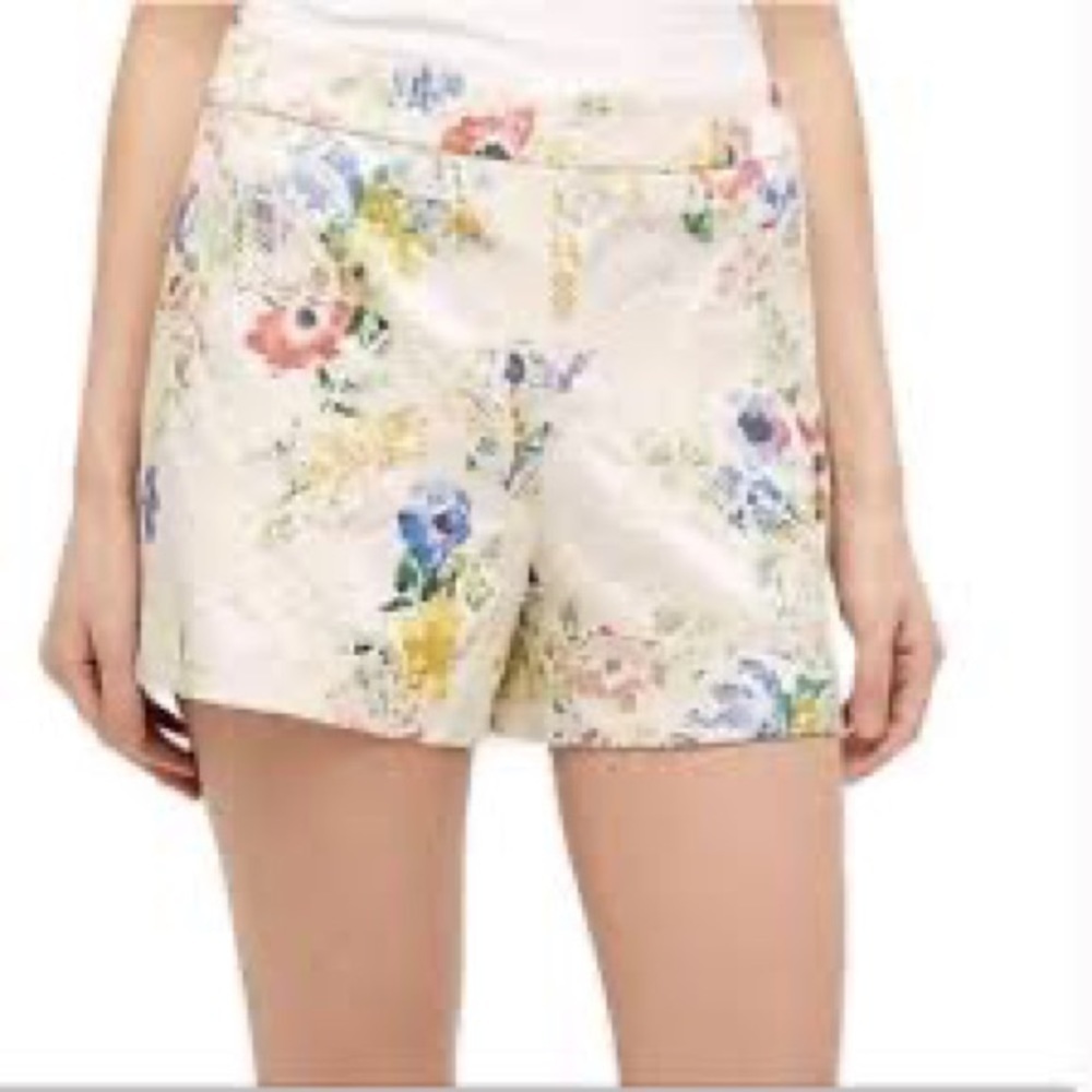 ANTHROPOLOGIE Catalonia Embroidered Floral Shorts‎ Sz 0